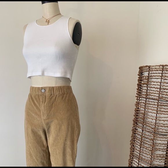 Brandy Melville Tan Corduroy Tilden Pants - Picture 4 of 5